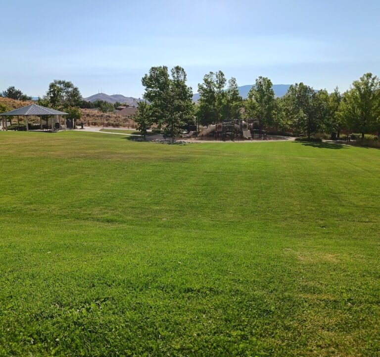 Soccer Field image 2