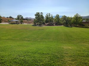 Soccer Field image 1