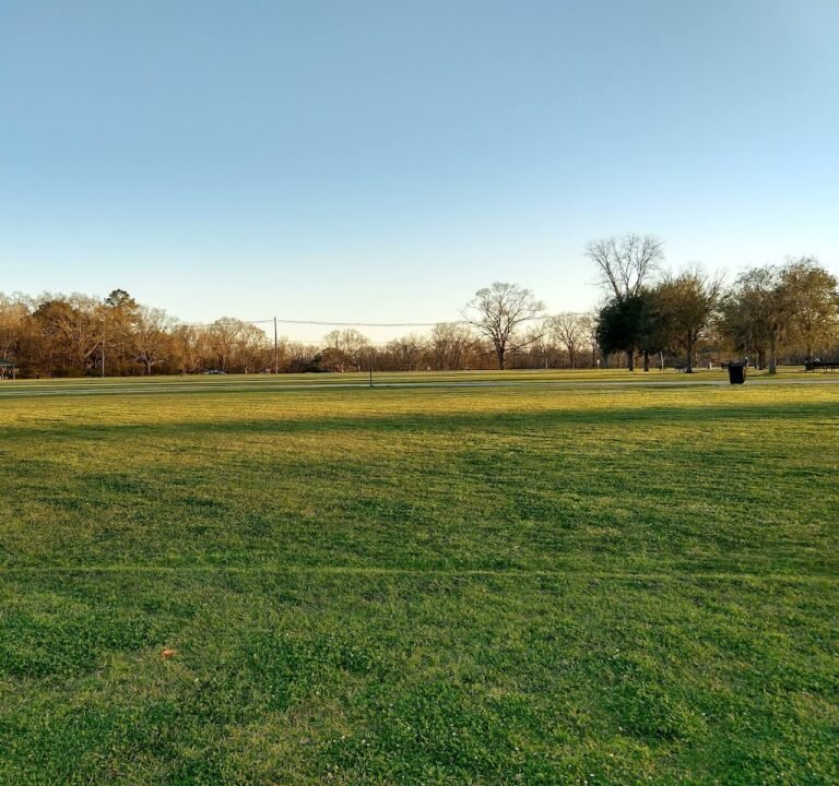 Soccer Field image 2