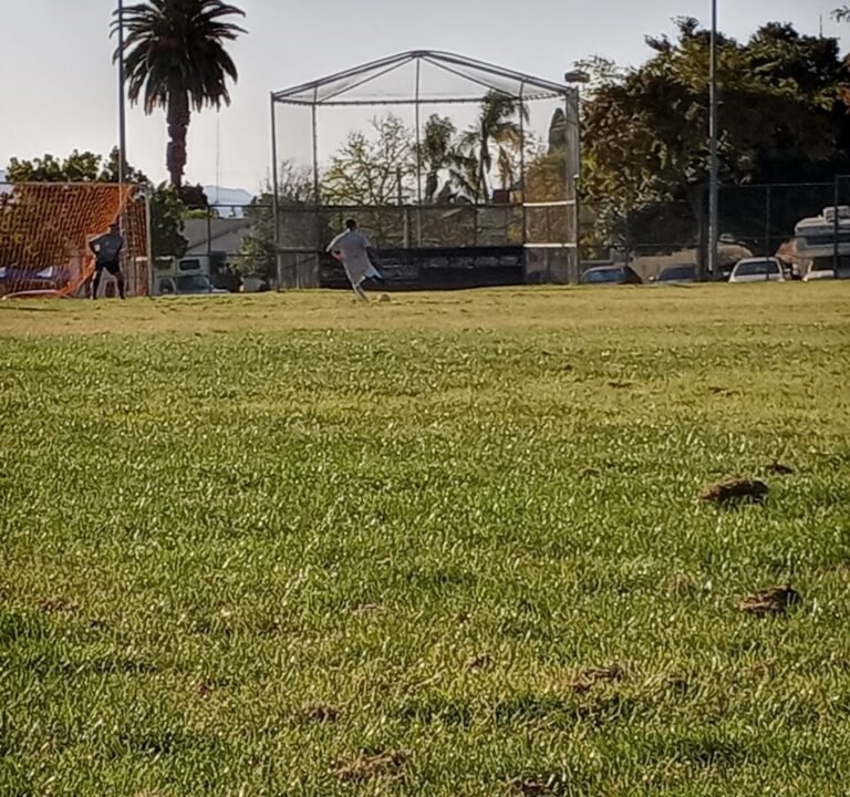 Soccer Field image 2