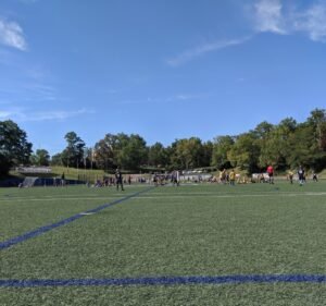 Soccer Field image 2