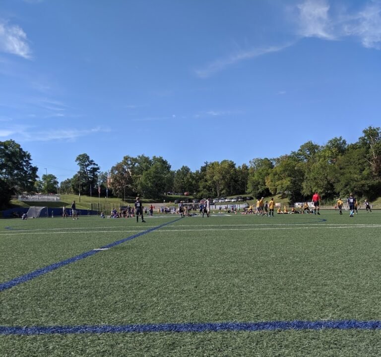 Soccer Field image 2