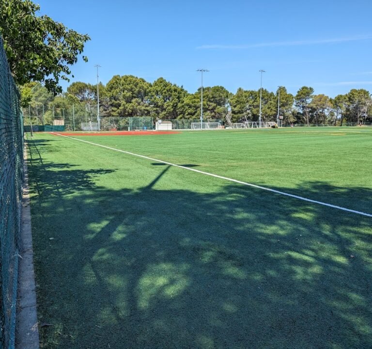 Soccer Field image 2