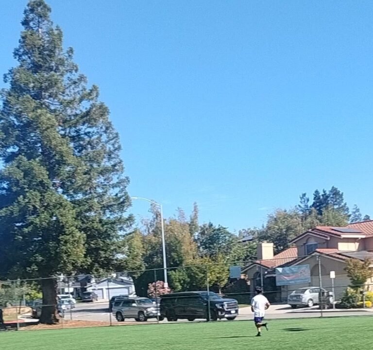 Soccer Field image 3