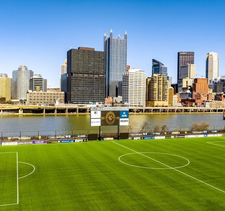 Soccer Field image 2