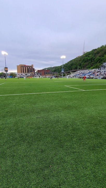 Soccer Field image 1