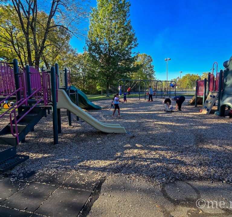 Soccer Field image 2