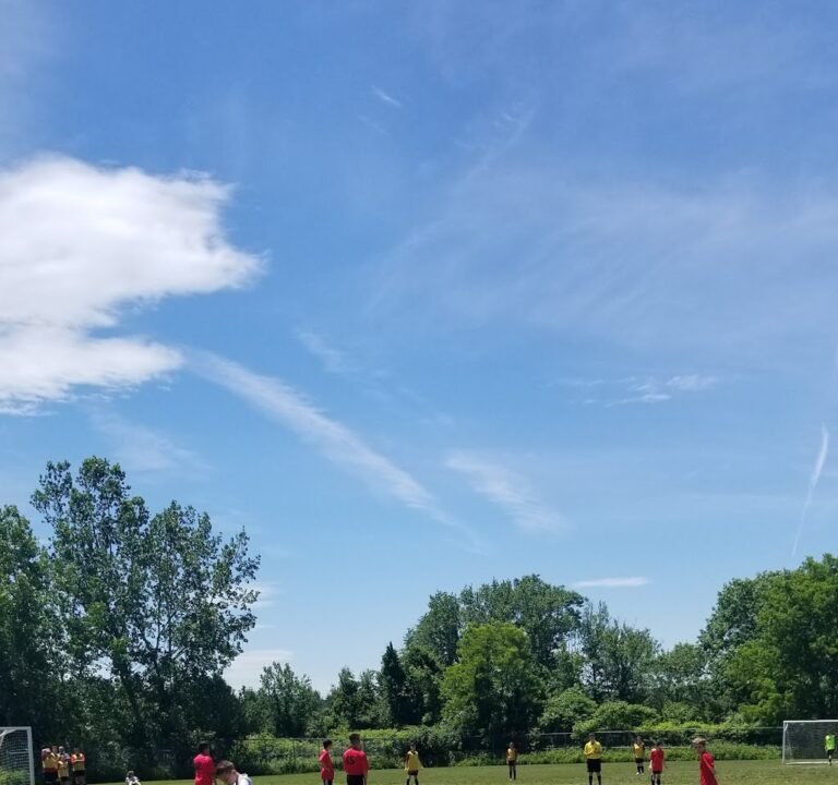 Soccer Field image 2