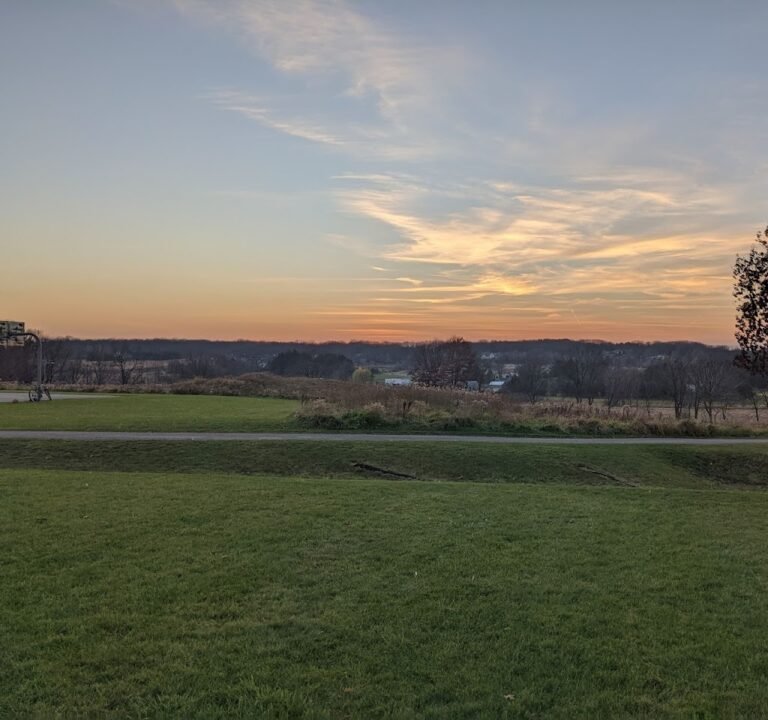 Soccer Field image 3