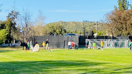 Soccer Field image 1