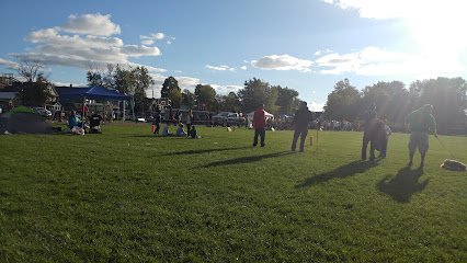 Soccer Field image 1