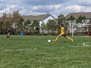 Soccer Field image 1
