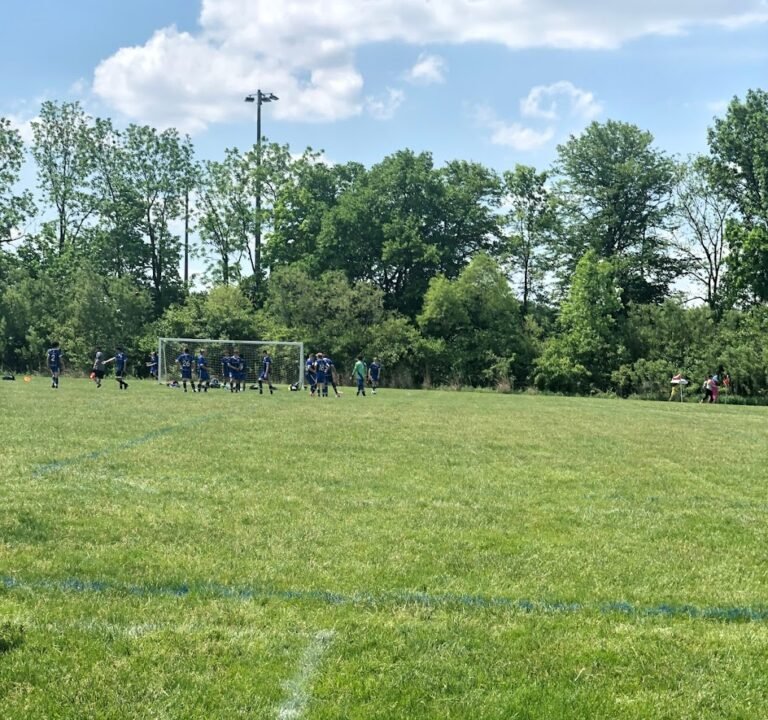 Soccer Field image 2