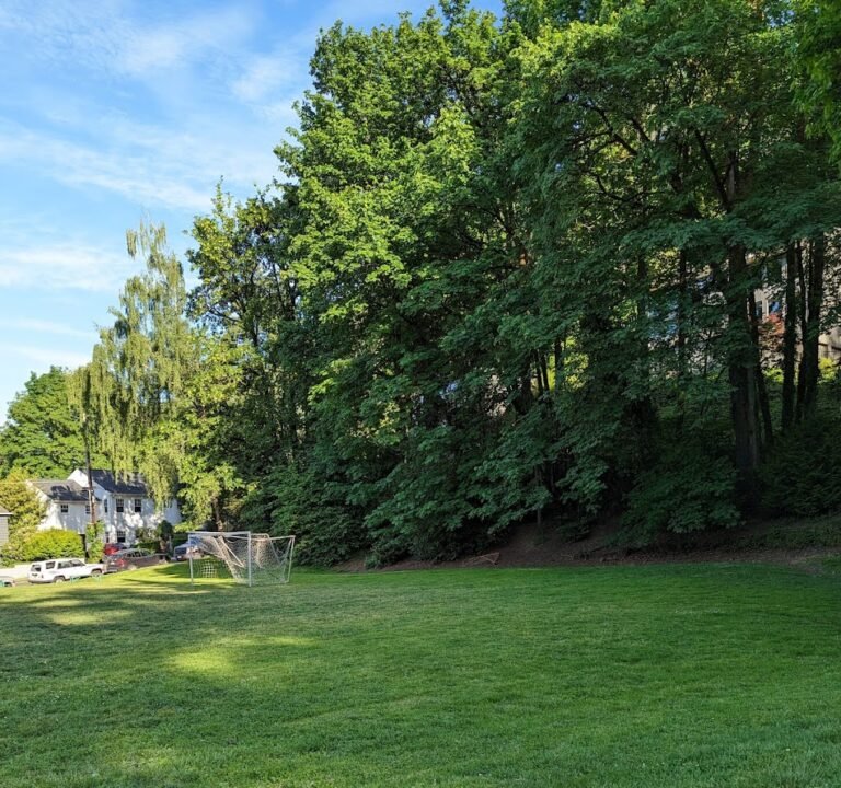 Soccer Field image 3