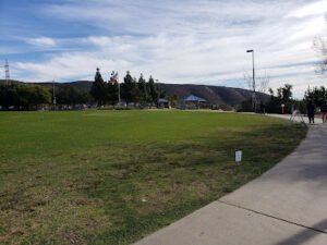 Soccer Field image 1