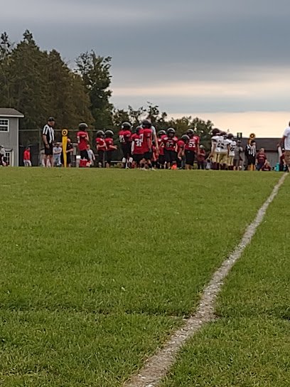 Soccer Field image 1