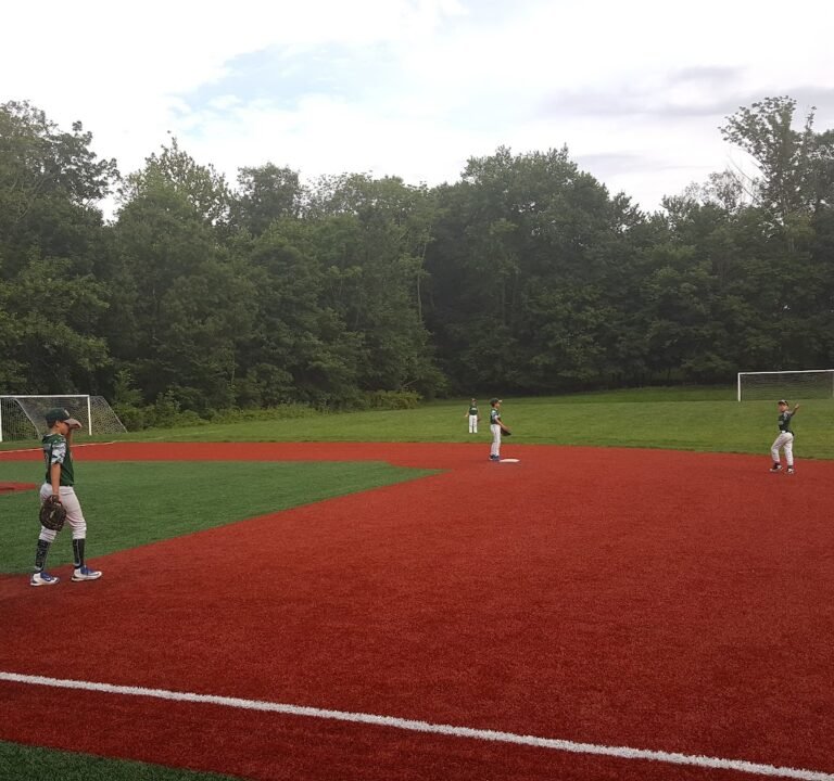 Soccer Field image 2