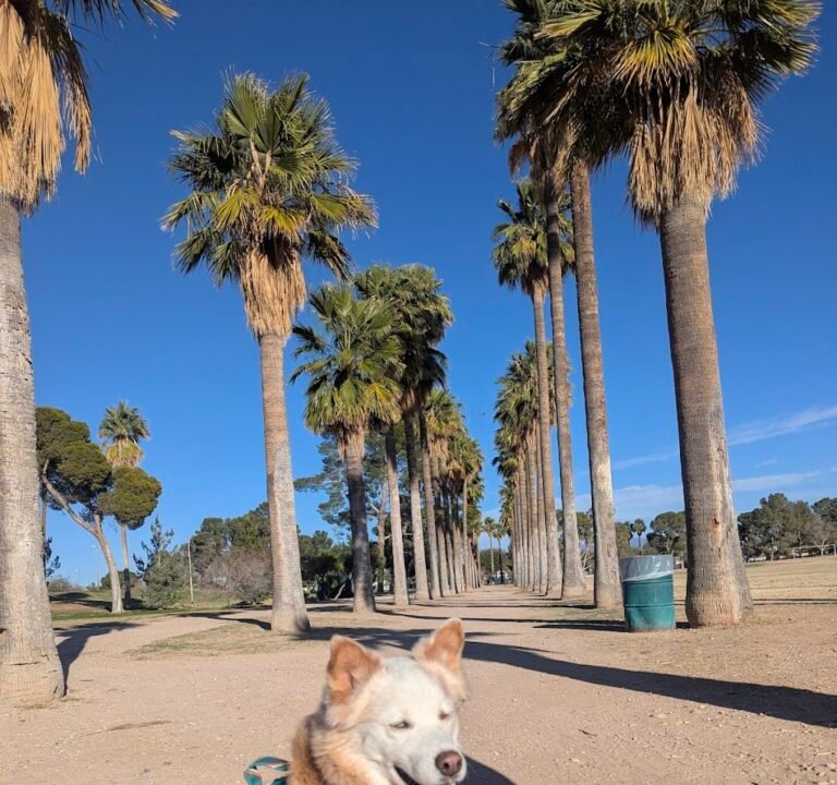 Soccer Field image 3