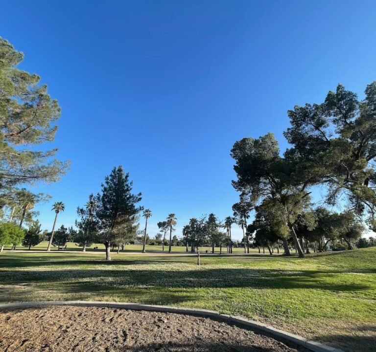 Soccer Field image 2