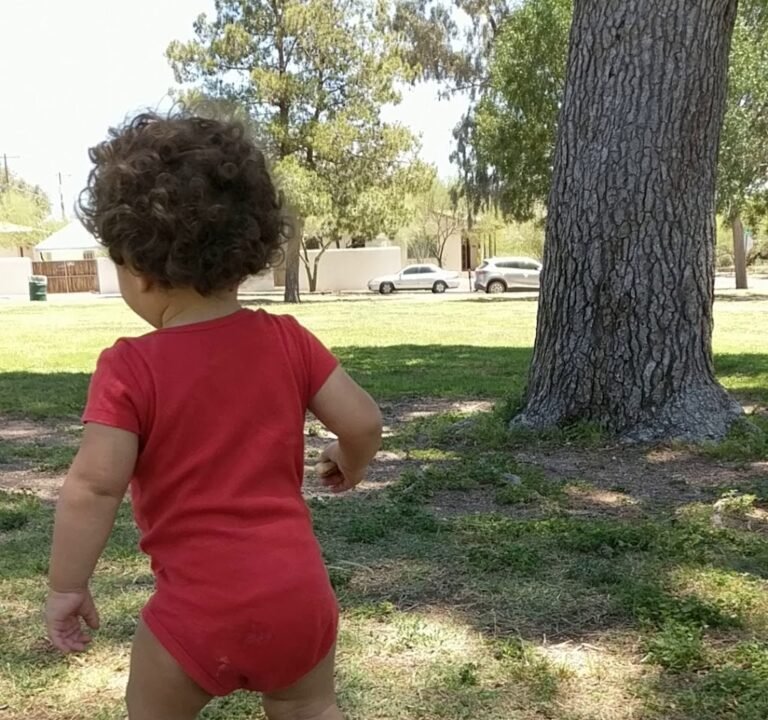 Soccer Field image 4