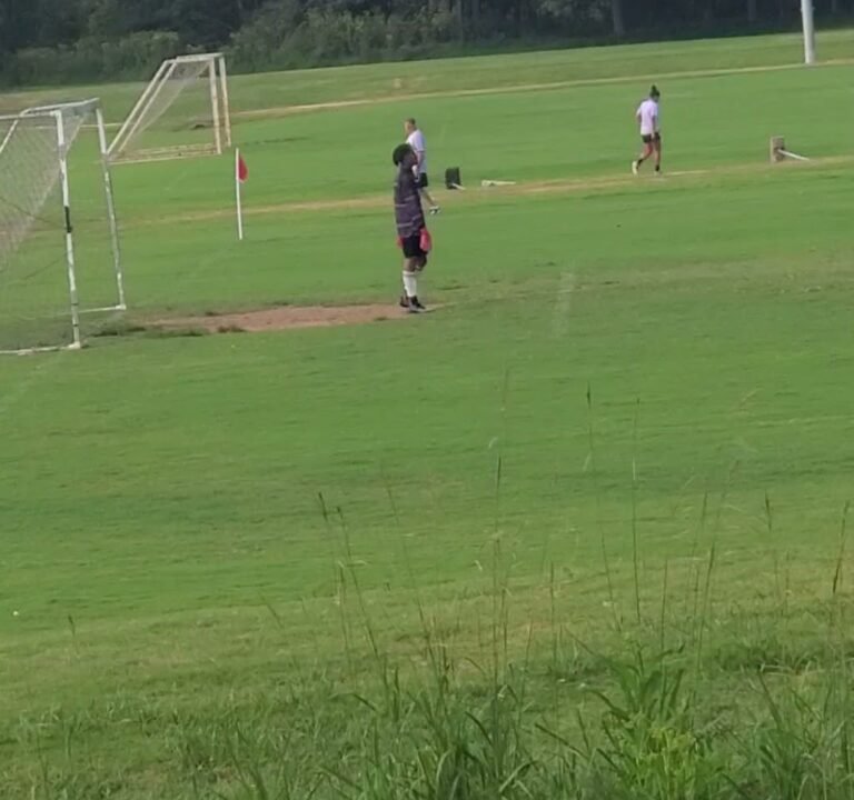 Soccer Field image 3