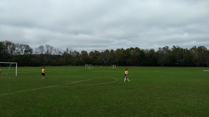 Soccer Field image 1