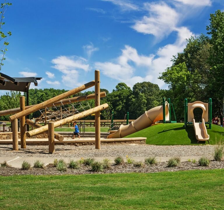 Soccer Field image 2