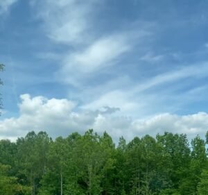 Soccer Field image 3