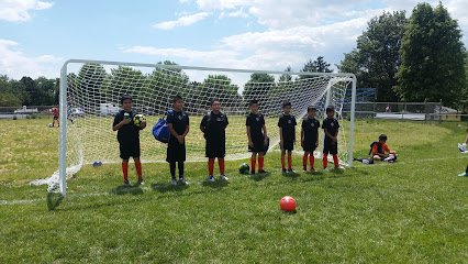 Soccer Field image 1