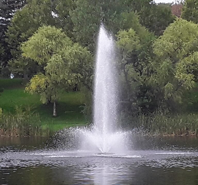 Soccer Field image 3