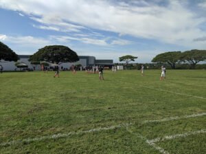 Soccer Field image 1