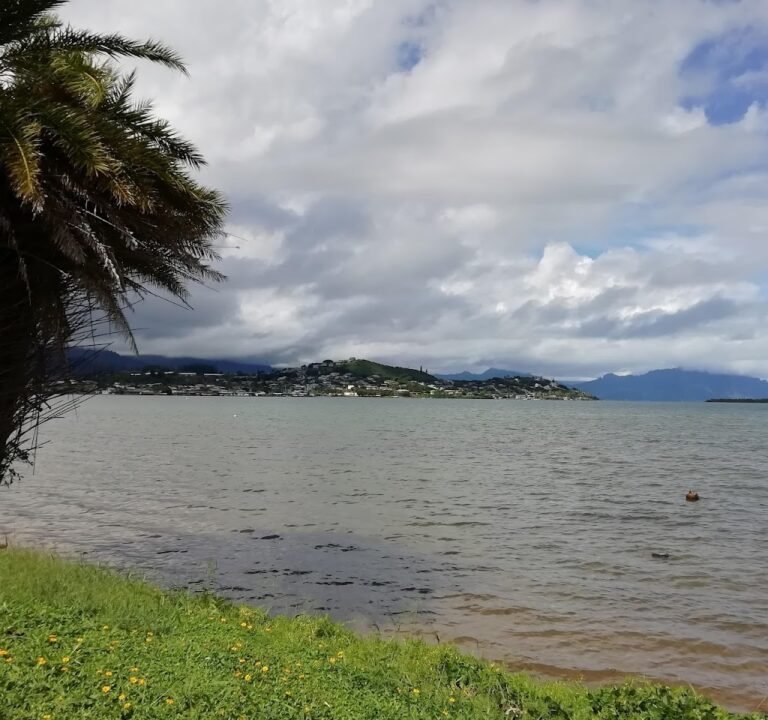 Soccer Field image 3