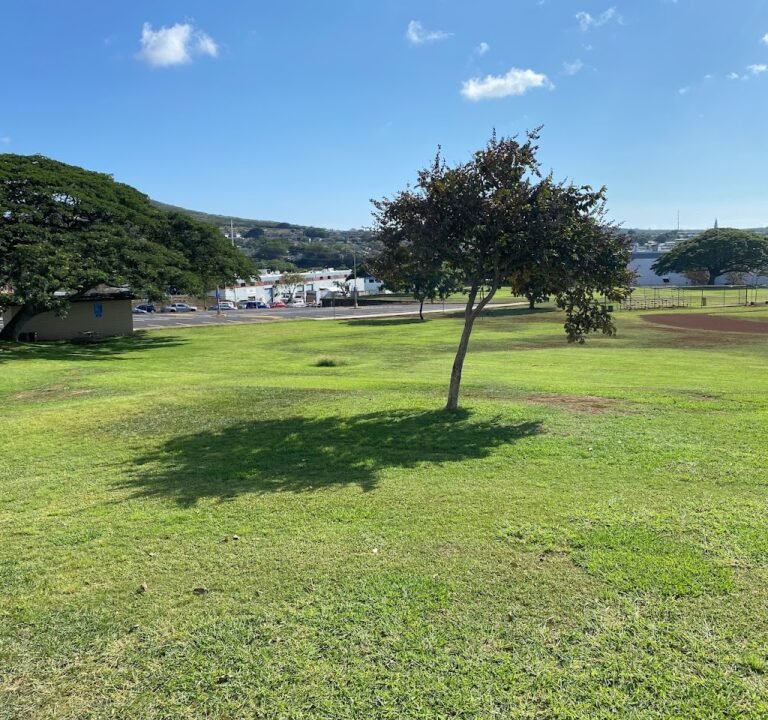 Soccer Field image 2