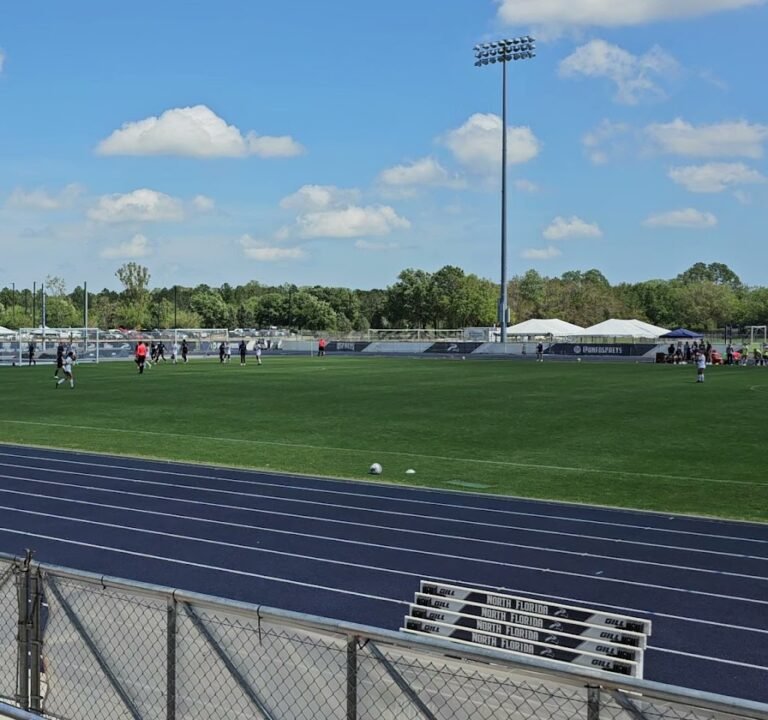 Soccer Field image 3