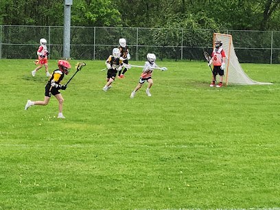 Soccer Field image 1