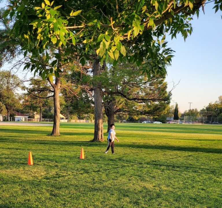 Soccer Field image 2