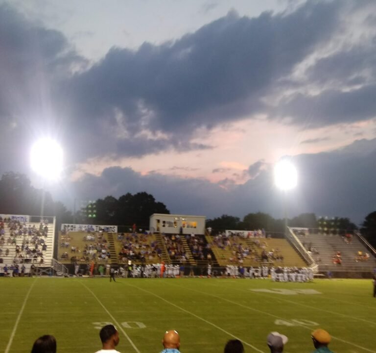 Soccer Field image 2