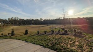 Soccer Field image 1