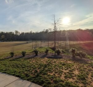 Soccer Field image 2