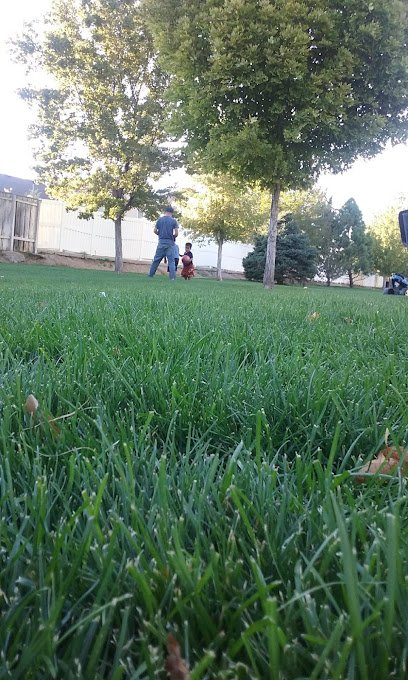 Soccer Field image 1
