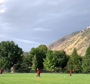 Soccer Field image 2