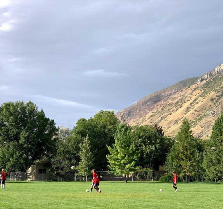 Soccer Field image 2