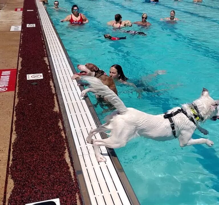 Soccer Field image 3