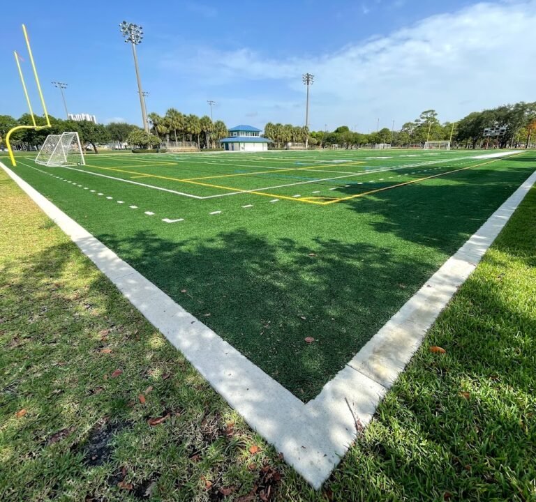 Soccer Field image 2