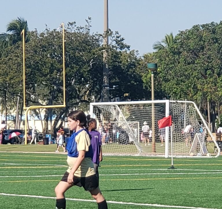 Soccer Field image 3