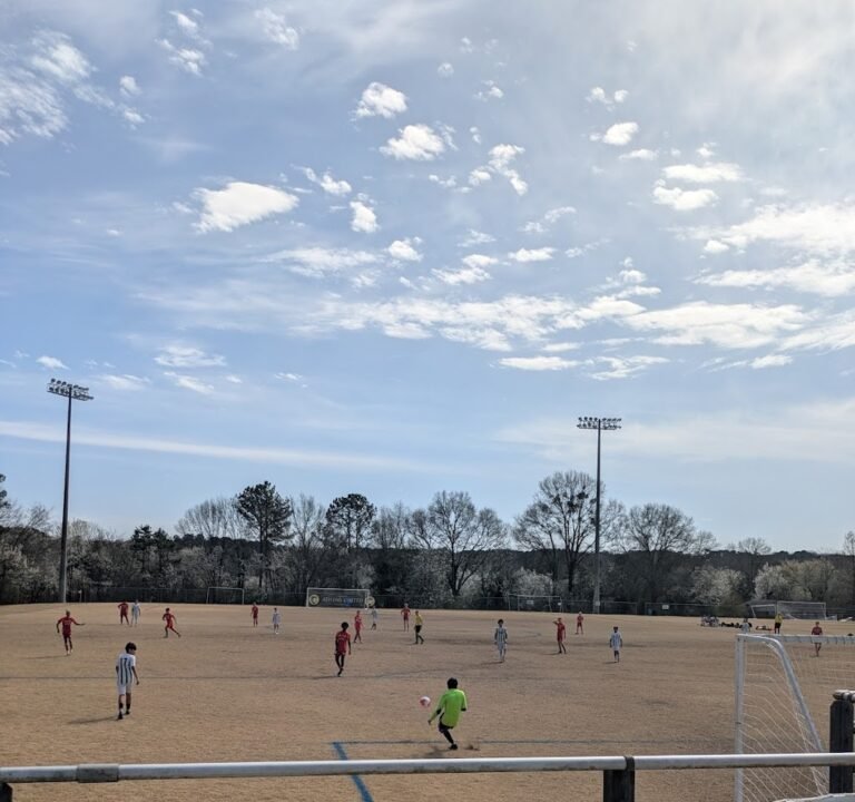 Soccer Field image 3