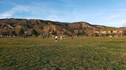 Soccer Field image 1