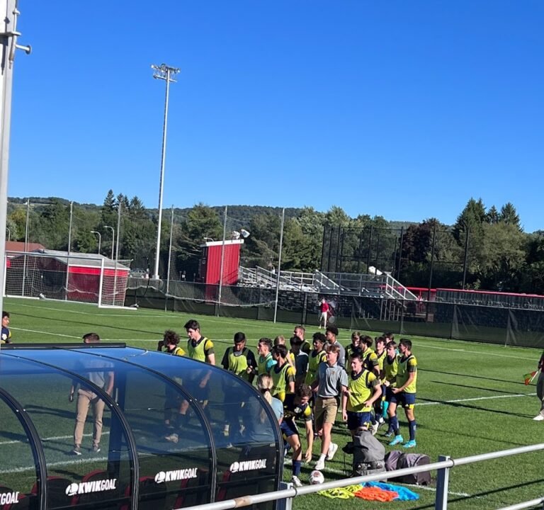 Soccer Field image 2