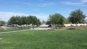 Soccer Field image 1