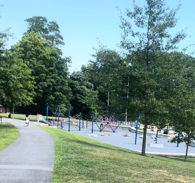 Soccer Field image 3